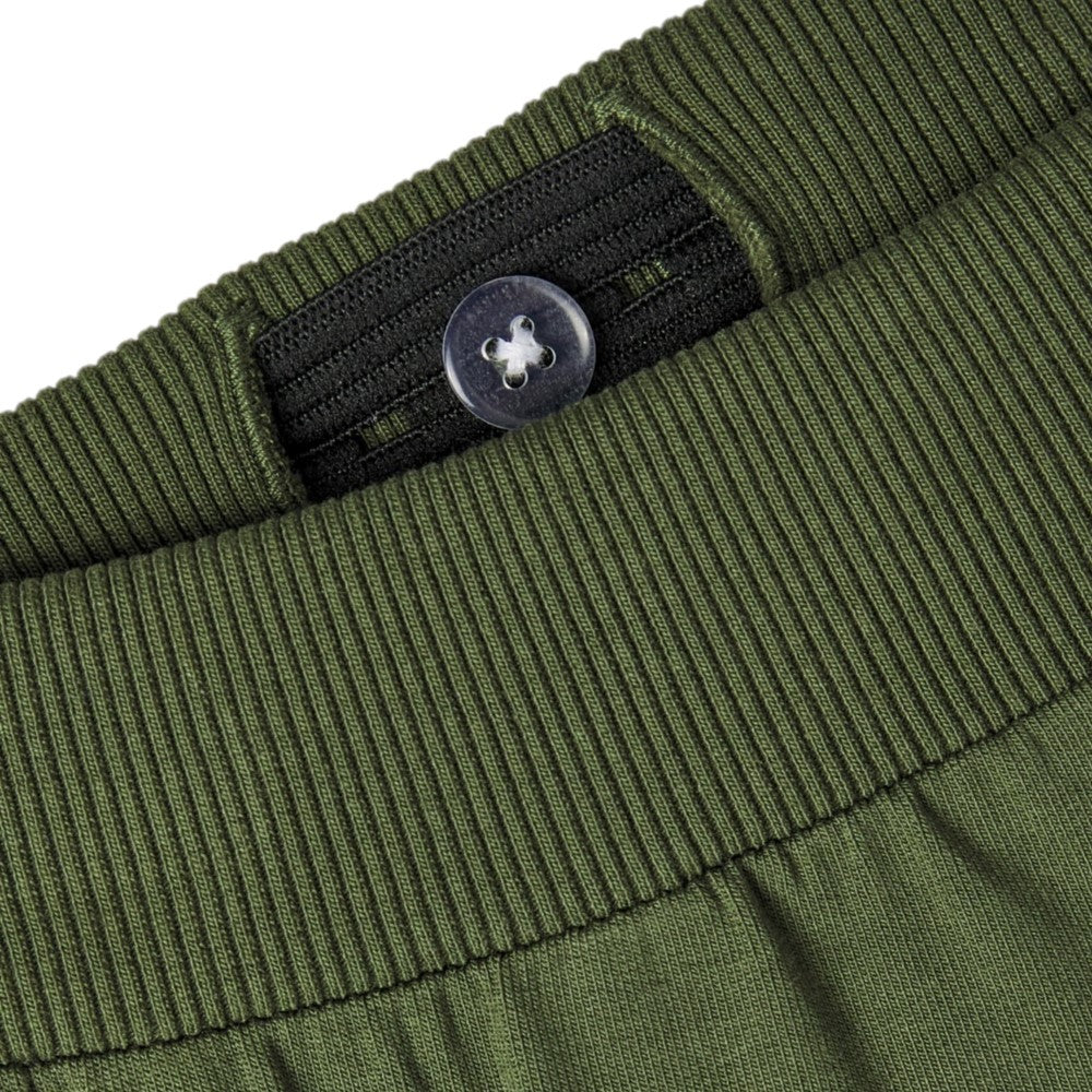 Nome de Pantalone.it Jurássico Mundo