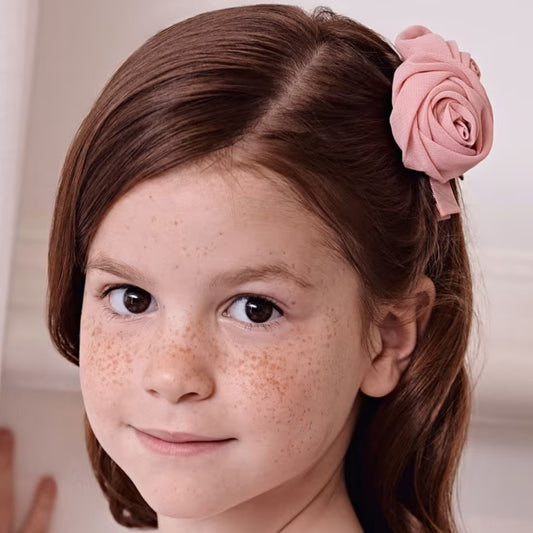 Establecer 2 escaneos de abel y lula