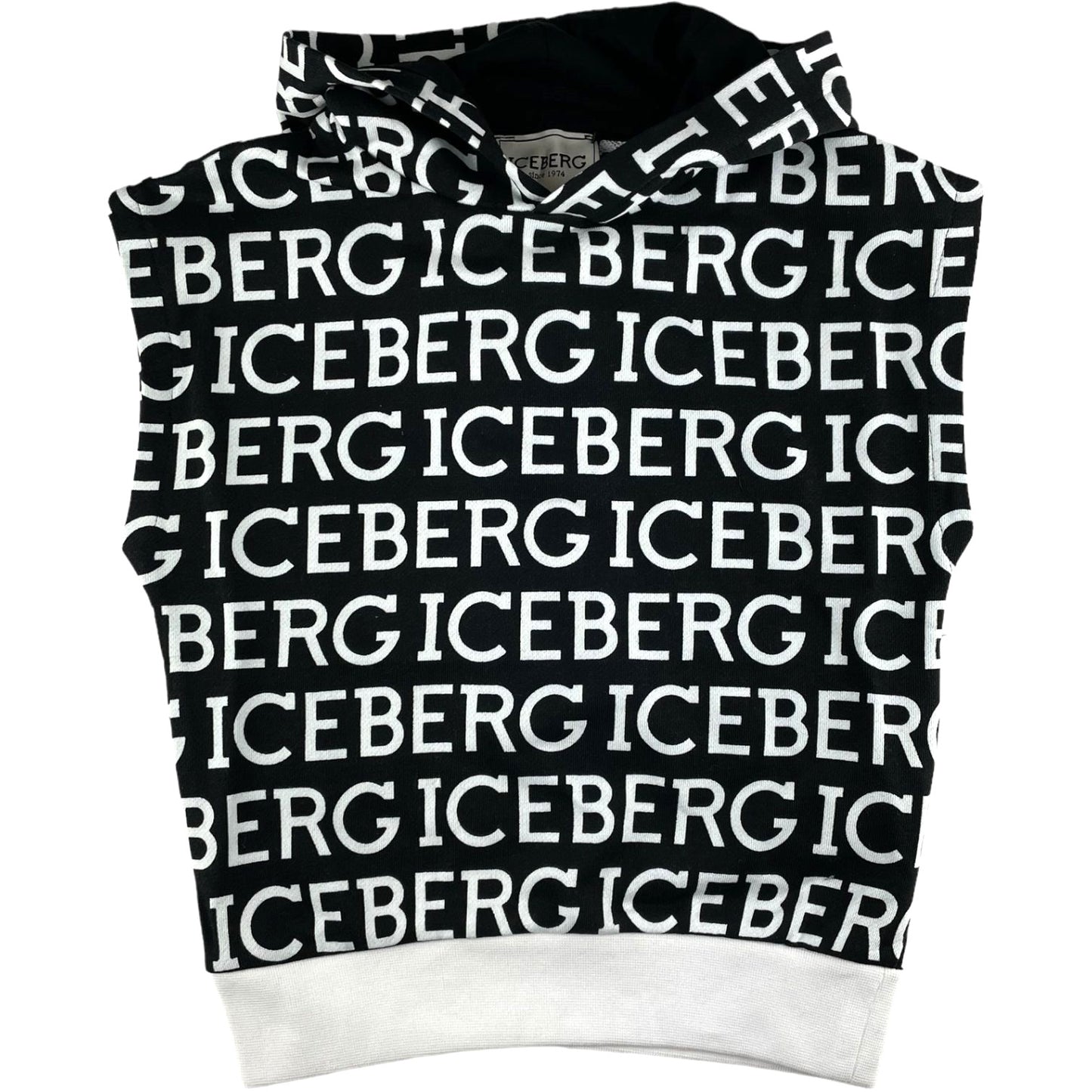 Sorto de iceberg
