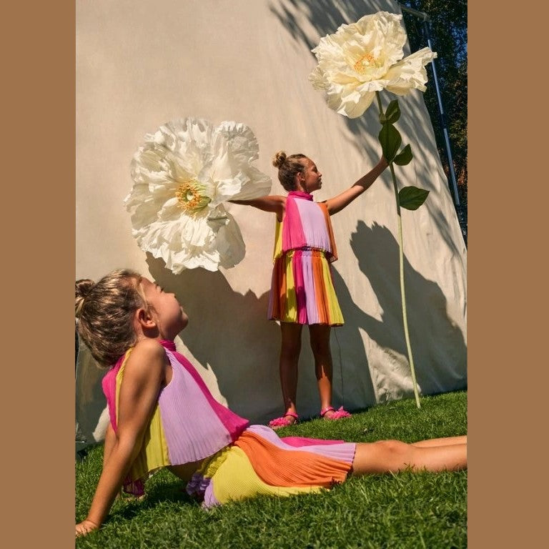 Completo Abel & Lula