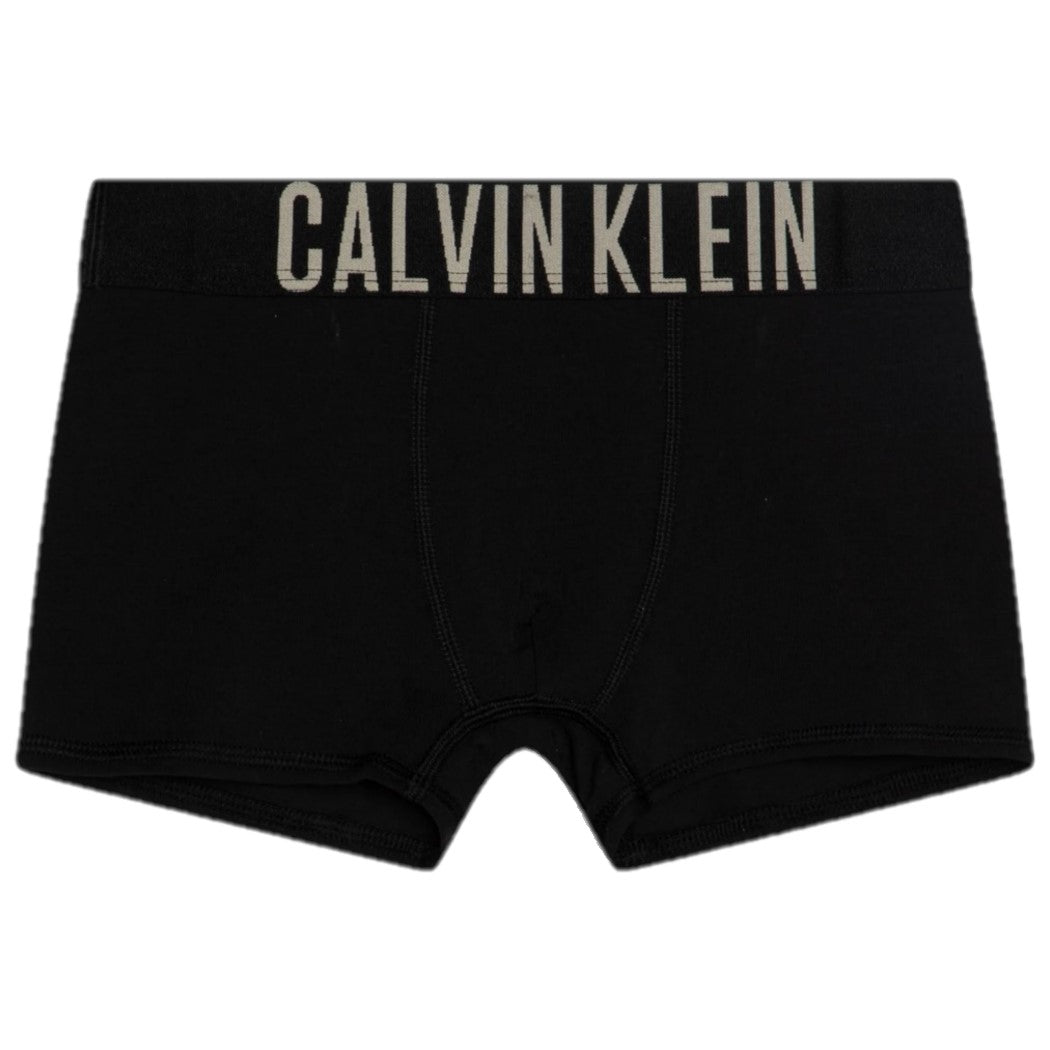 Set 2 boxer CALVIN KLEIN